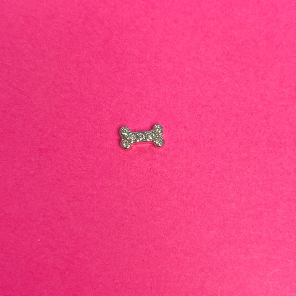 Origami Owl Charm